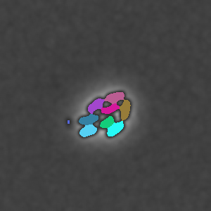 Image Output